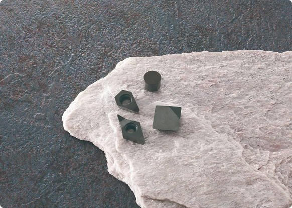 チップ・バイト